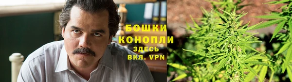 МДМА Заводоуковск
