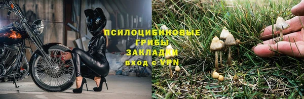 МДМА Заводоуковск