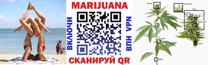 Конопля сатива  где можно купить наркотик  Иннополис 